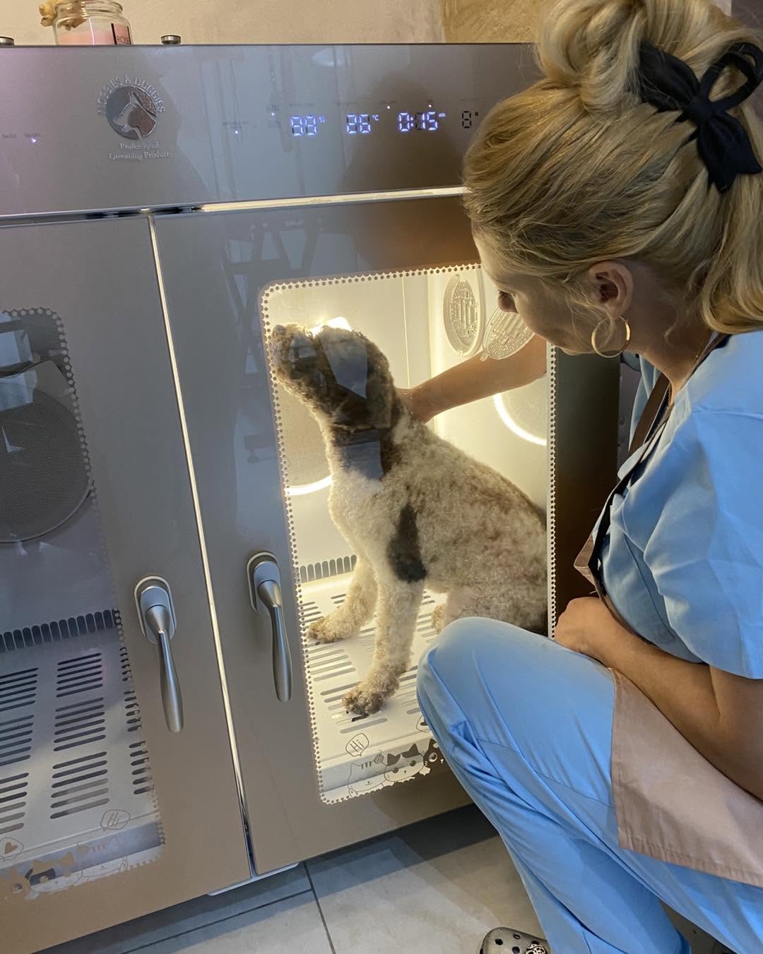Groomed pet client 1